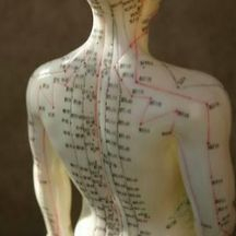 Slider image (3) Prime Meridian Acupuncture Clinic